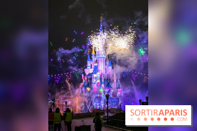 Disney ❤ Notre-Dame de Paris - DSC 2199