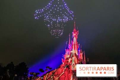 Disney ❤ Notre-Dame de Paris - IMG 1673