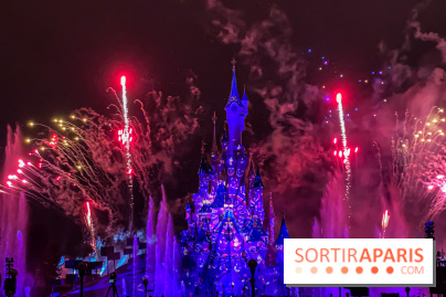 Disney ❤ Notre-Dame de Paris - IMG 1699