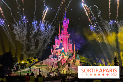 Disney ❤ Notre-Dame de Paris - IMG 1713