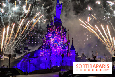 Disney ❤ Notre-Dame de Paris - IMG 1729