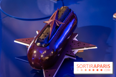 Les bûches et chocolats de Noël de la Maison du Chocolat 2024 -  A7C8367