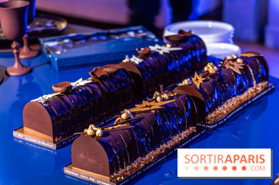 Les bûches et chocolats de Noël de la Maison du Chocolat 2024 -  A7C8368