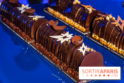 Les bûches et chocolats de Noël de la Maison du Chocolat 2024 -  A7C8369