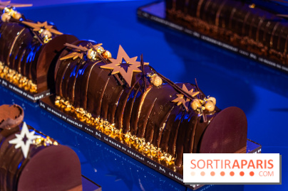 Les bûches et chocolats de Noël de la Maison du Chocolat 2024 -  A7C8370