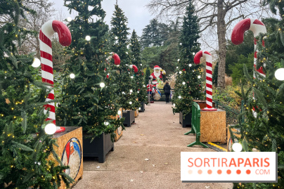 Noël au Jardin d'Acclimatation 2024  - image00017