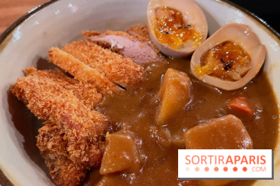 Jinchan Yokocho - Katsu curry don