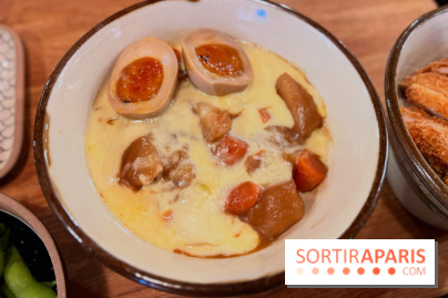 Jinchan Yokocho - Mont d'Or curry don