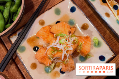 Jinchan Yokocho - Tranches de saumon frites