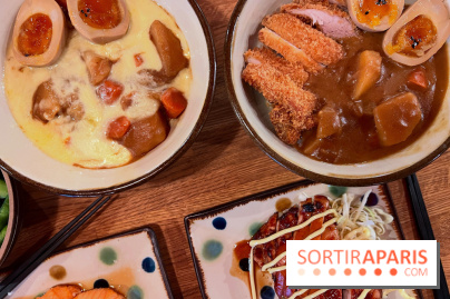 Jinchan Yokocho - Curry japonais