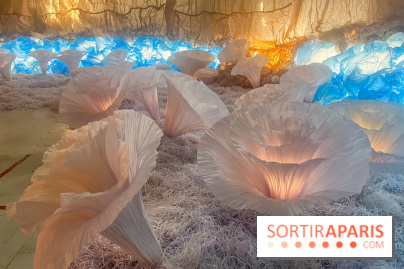 L'océan de Léa, l'exposition événement à la patinoire de Saint-Ouen - nos photos - image00045