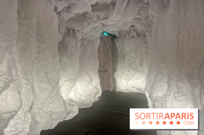 L'océan de Léa, l'exposition événement à la patinoire de Saint-Ouen - nos photos - image00051