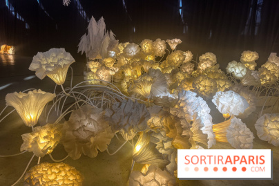 L'océan de Léa, l'exposition événement à la patinoire de Saint-Ouen - nos photos - image00038