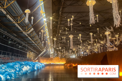 L'océan de Léa, l'exposition événement à la patinoire de Saint-Ouen - nos photos - image00040