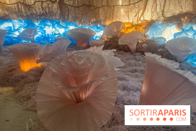 L'océan de Léa, l'exposition événement à la patinoire de Saint-Ouen - nos photos - image00041