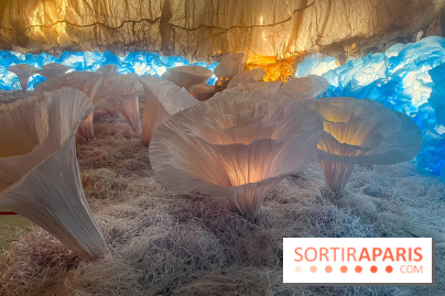 L'océan de Léa, l'exposition événement à la patinoire de Saint-Ouen - nos photos - image00042