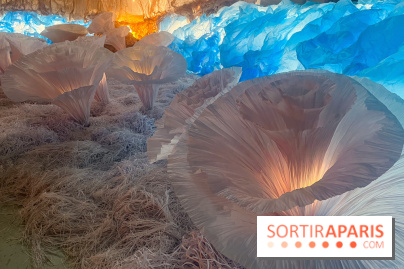 L'océan de Léa, l'exposition événement à la patinoire de Saint-Ouen - nos photos - image00043