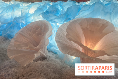 L'océan de Léa, l'exposition événement à la patinoire de Saint-Ouen - nos photos - image00044