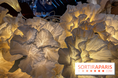 L'océan de Léa, l'exposition événement à la patinoire de Saint-Ouen - nos photos - image00031