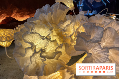 L'océan de Léa, l'exposition événement à la patinoire de Saint-Ouen - nos photos - image00032