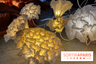 L'océan de Léa, l'exposition événement à la patinoire de Saint-Ouen - nos photos - image00033