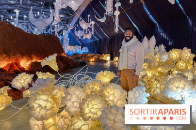 L'océan de Léa, l'exposition événement à la patinoire de Saint-Ouen - nos photos - image00034