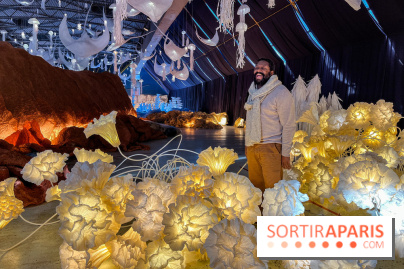 L'océan de Léa, l'exposition événement à la patinoire de Saint-Ouen - nos photos - image00035
