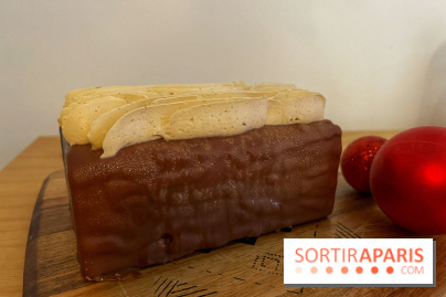 Bûches de Noël Giardino - IMG 7588