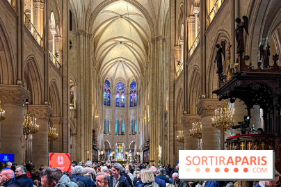 Réouverture de Notre-Dame de Paris - IMG 4010 jpg