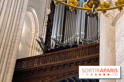 Réouverture de Notre-Dame de Paris - IMG 4150 jpg