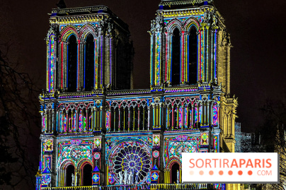 Réouverture de Notre-Dame de Paris - IMG 4247