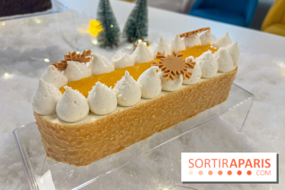 Bûches de Noël 2024 Bo&Mie - Flocon Exotique