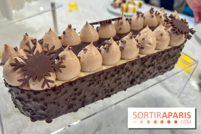 Bûches de Noël 2024 Bo&Mie - Flocon Cacao