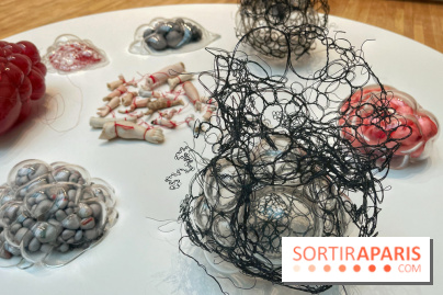 The Soul Trembles - IMG 7651