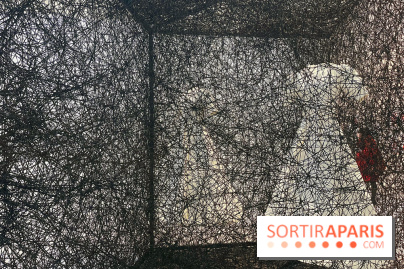 The Soul Trembles - IMG 7682