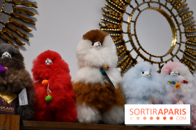 C'est le Pérou pour Noël, le pop-up store canon à Paris - DSC 2983