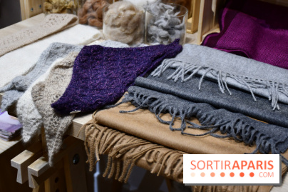 C'est le Pérou pour Noël, le pop-up store canon à Paris - DSC 2992