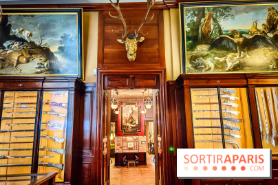 Musée de la chasse et de la nature - collections permanentes et visuels