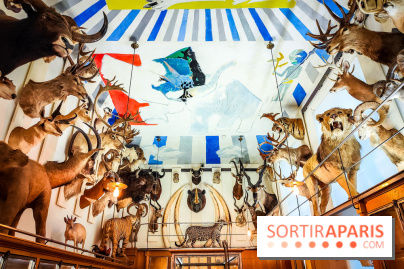 Musée de la chasse et de la nature - collections permanentes et visuels - IMG20241209152724