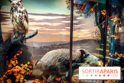 Musée de la chasse et de la nature - collections permanentes et visuels - IMG20241209153006