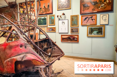 Musée de la chasse et de la nature - collections permanentes et visuels