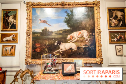 Musée de la chasse et de la nature - collections permanentes et visuels