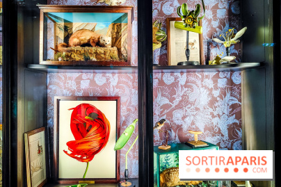 Musée de la chasse et de la nature - collections permanentes et visuels - IMG20241209153926