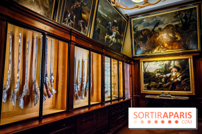 Musée de la chasse et de la nature - collections permanentes et visuels