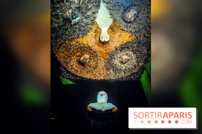 Musée de la chasse et de la nature - collections permanentes et visuels - IMG20241209151300