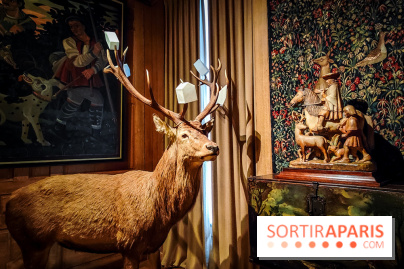 Musée de la chasse et de la nature - collections permanentes et visuels
