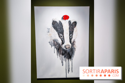 S'éclairer sans fin : l'exposition poétique d'Edi Dubien au musée de la Chasse et de la Nature - photos - IMG20241209153738