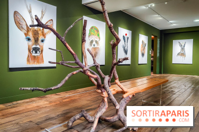 S'éclairer sans fin : l'exposition poétique d'Edi Dubien au musée de la Chasse et de la Nature - photos - IMG20241209153703