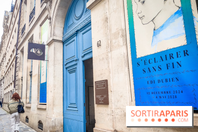 S'éclairer sans fin : l'exposition poétique d'Edi Dubien au musée de la Chasse et de la Nature - photos - IMG20241209154311