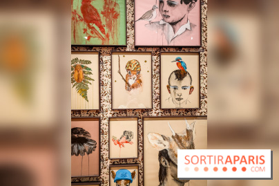 S'éclairer sans fin : l'exposition poétique d'Edi Dubien au musée de la Chasse et de la Nature - photos - IMG20241209145739